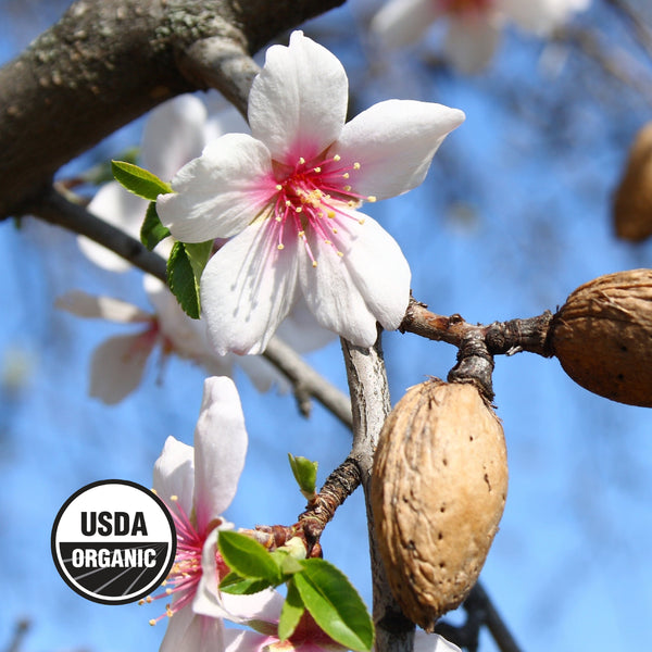 Almonds - Organic, Roasted & Diced, California-Grown